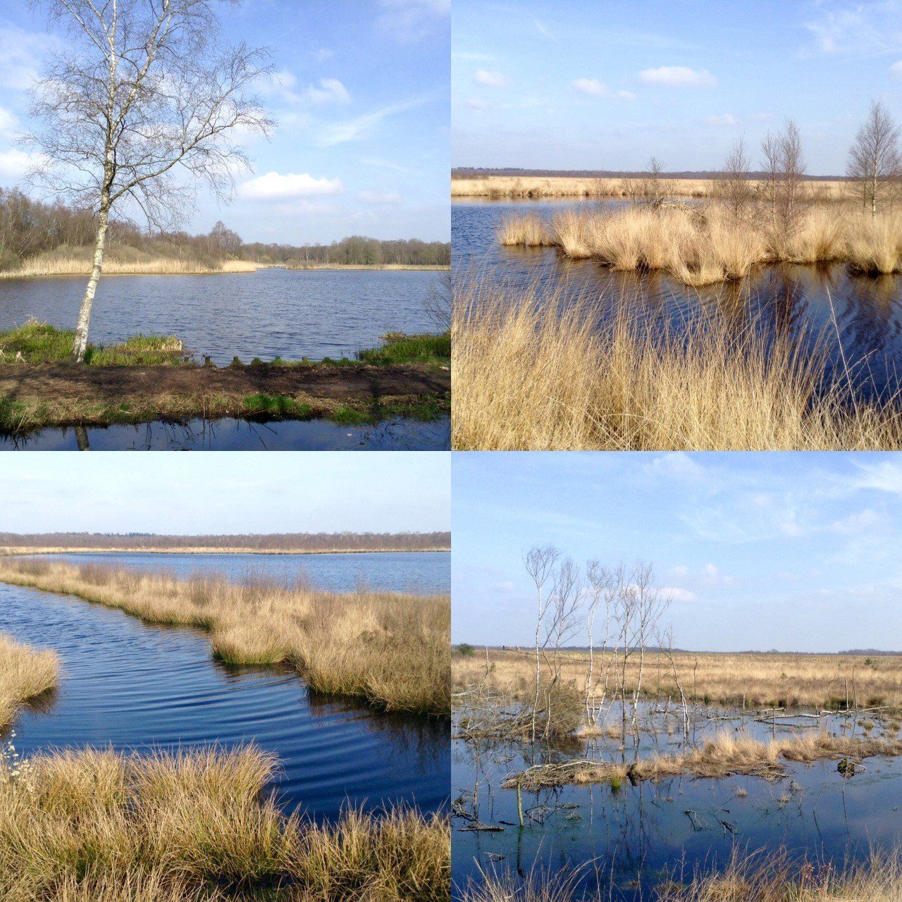 omgeving groepsaccommodatie overijssel