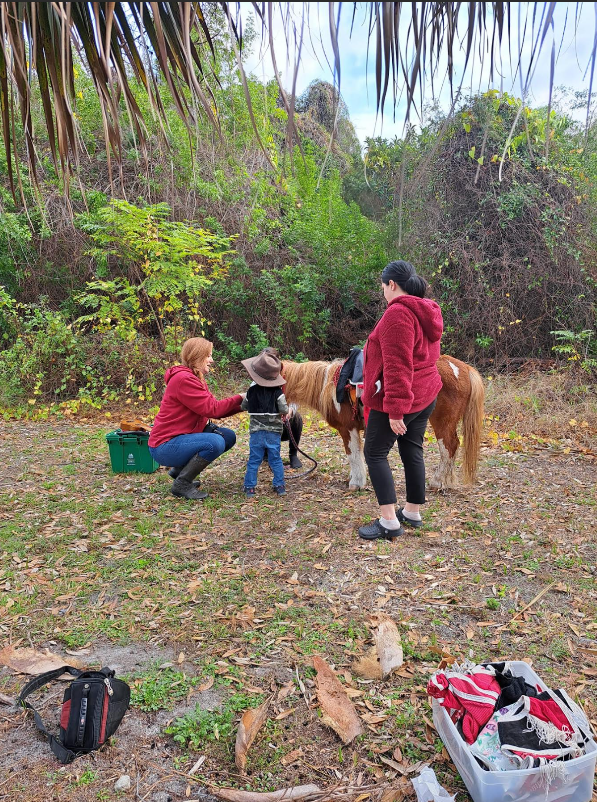 A woman and a child are standing next to a pony in a field.
