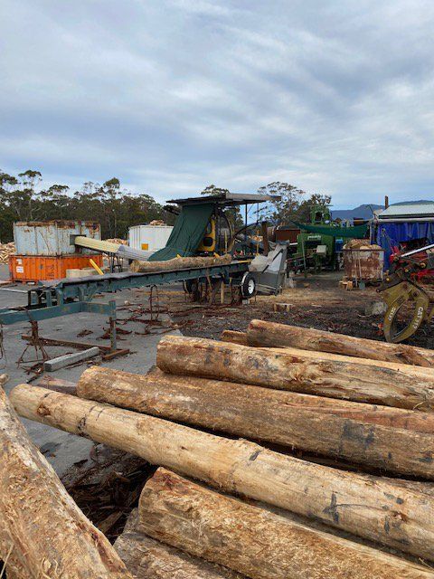 Stack of Logs and a Machine Use for Cutting Logs | Leslie Vale, Tas | Firewood Devils