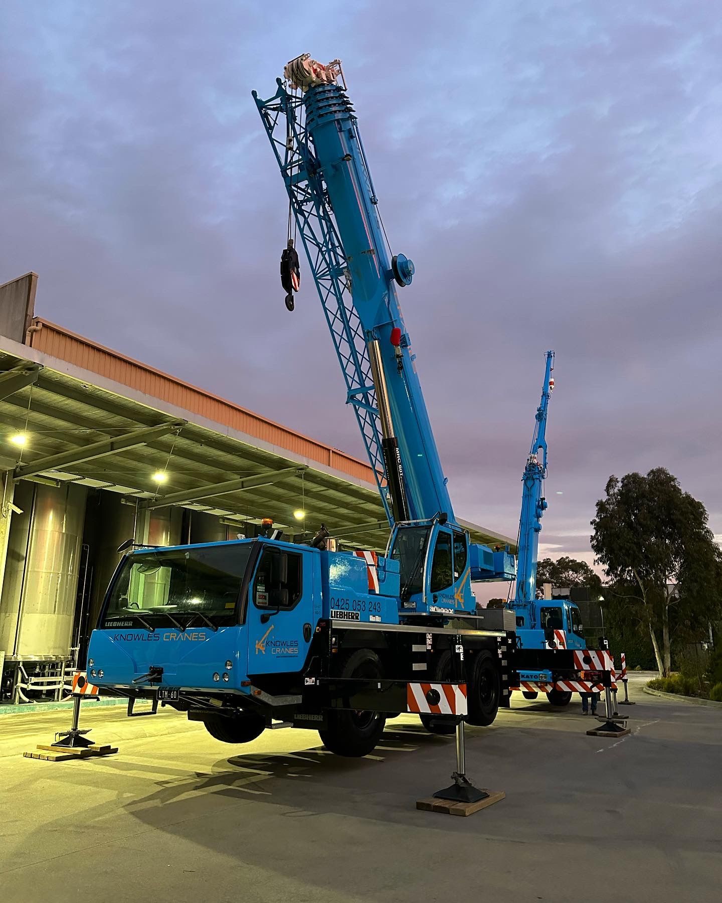 Mobile crane with hook