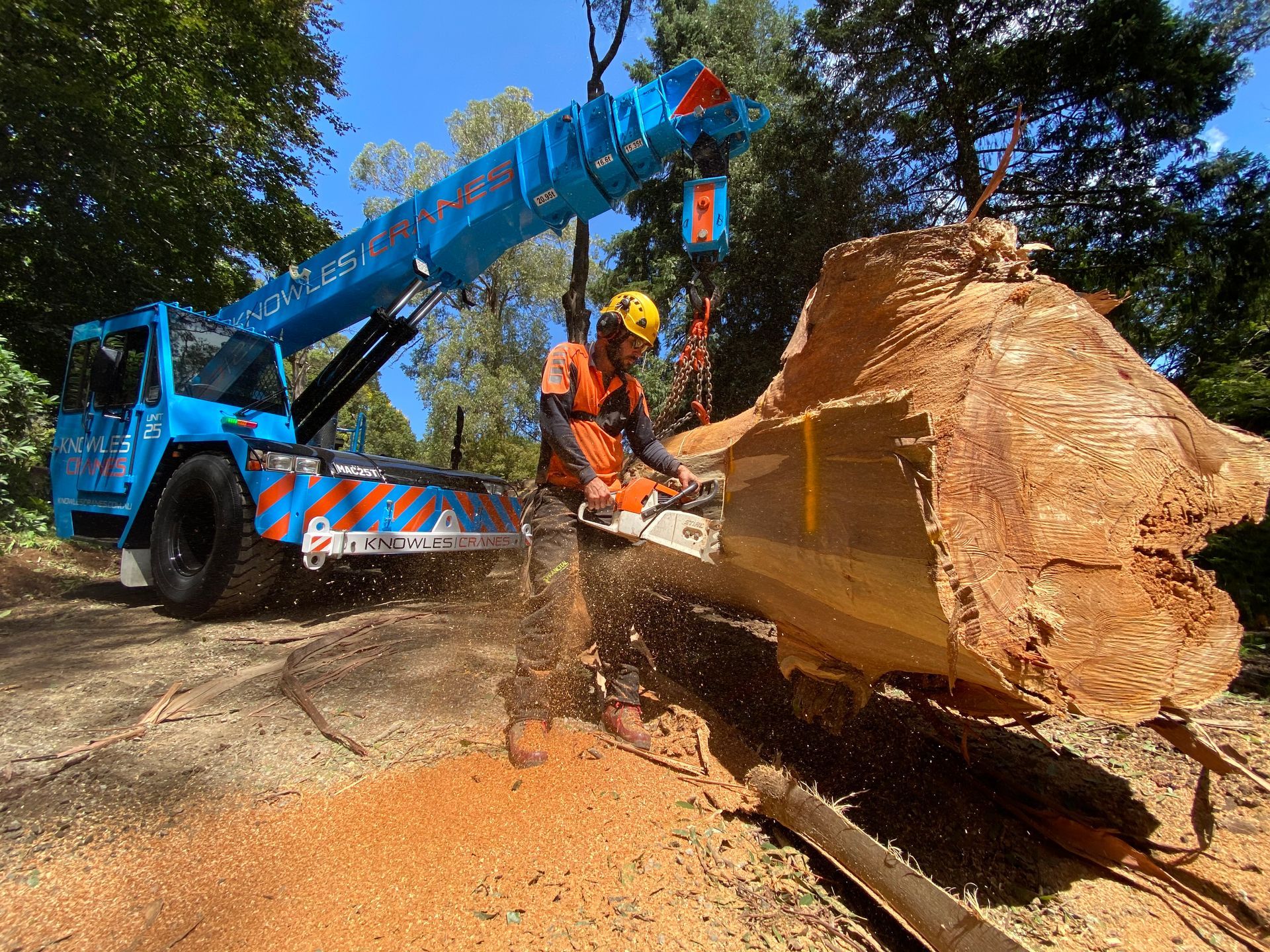 Hydraulic crane in action