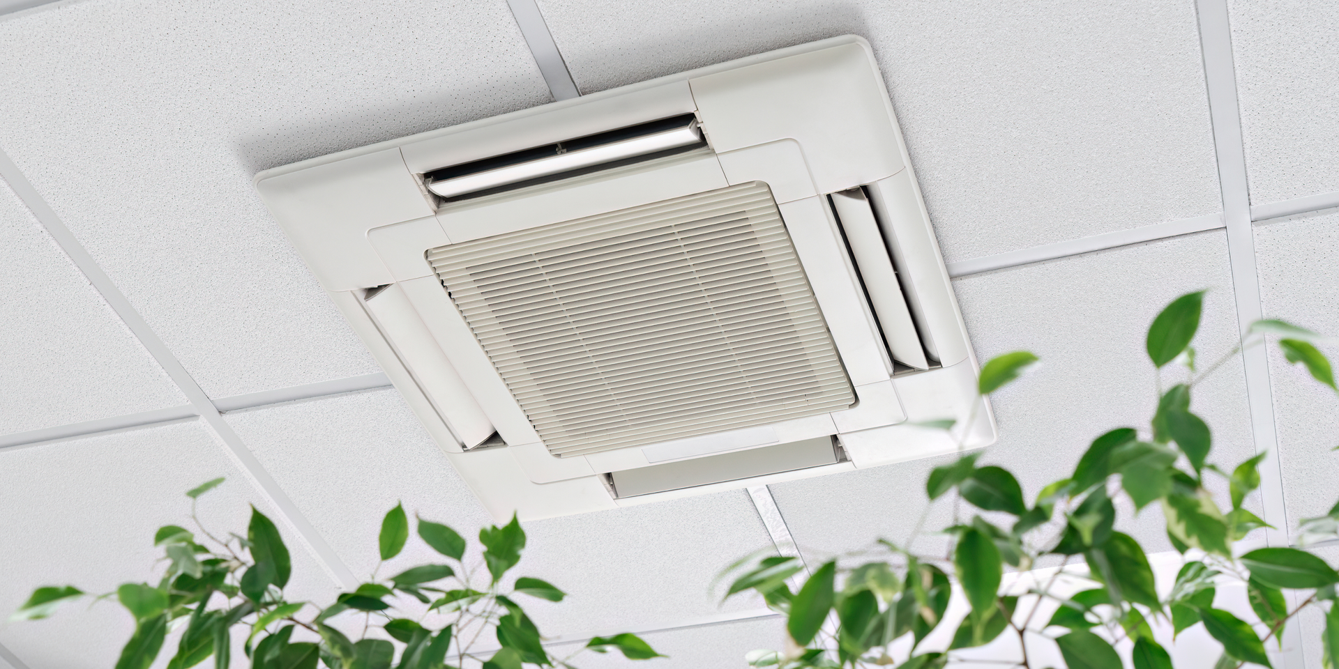 Ceiling-mounted air conditioning unit with white panels. Green plants in the foreground, white tiled ceiling.