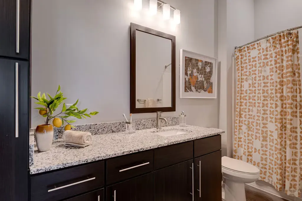 Bathroom with granite countertop, dark wood vanity, mirror, plant, and patterned shower curtain.