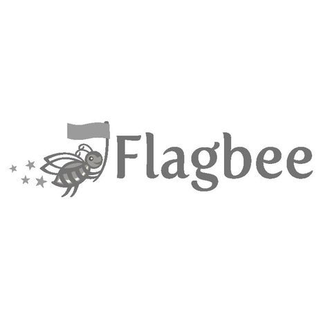 kansas website design - Flagbee Classroom Management