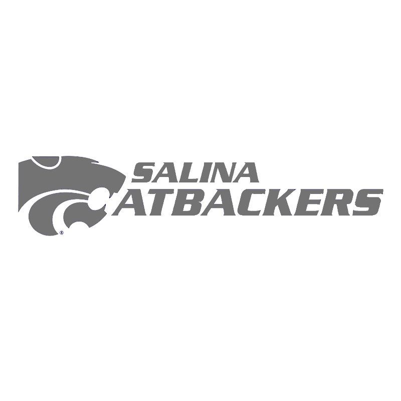business websites Salina ks - Salina Catbackers