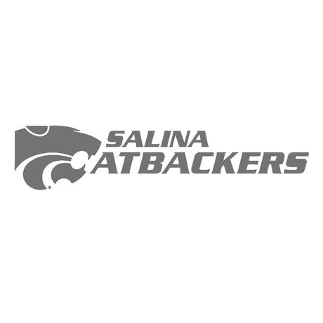 business websites Salina ks - Salina Catbackers