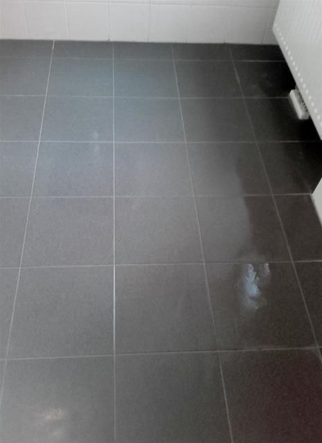 Eine Nahaufnahme eines gefliesten Bodens in einem Badezimmer.
