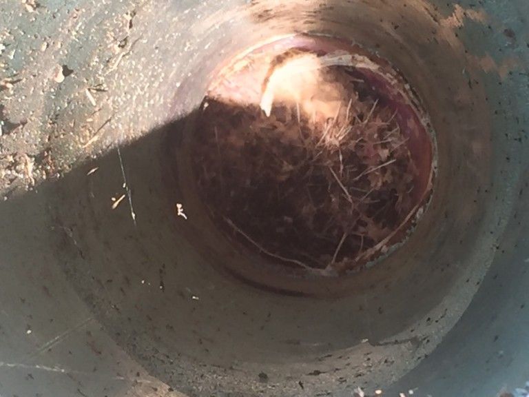 A close up of the inside of a dirty bucket filled with water.