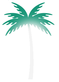A palm tree with green leaves on a white background
