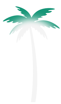 A palm tree with light body shadow on a white background.