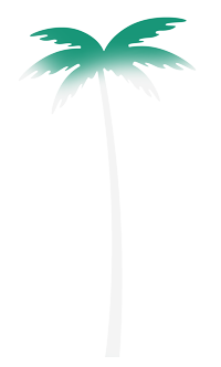 A palm tree with green leaves.