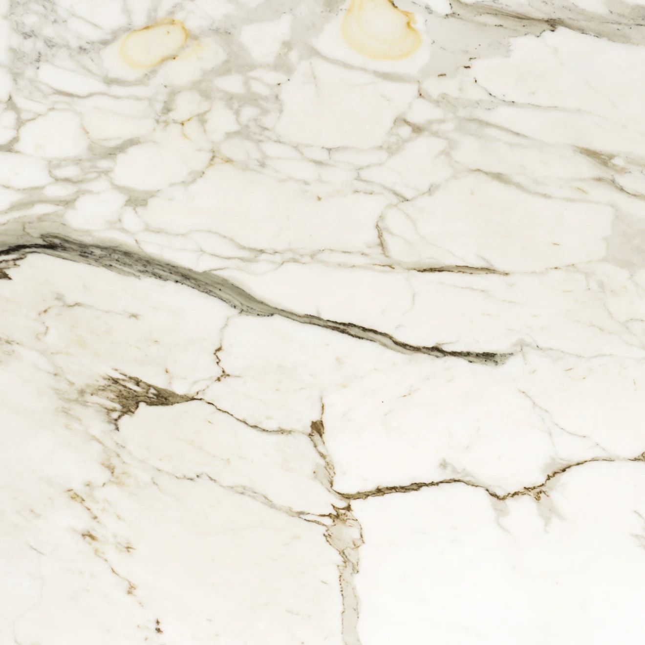 Granite Slab for Kitchen Countertop