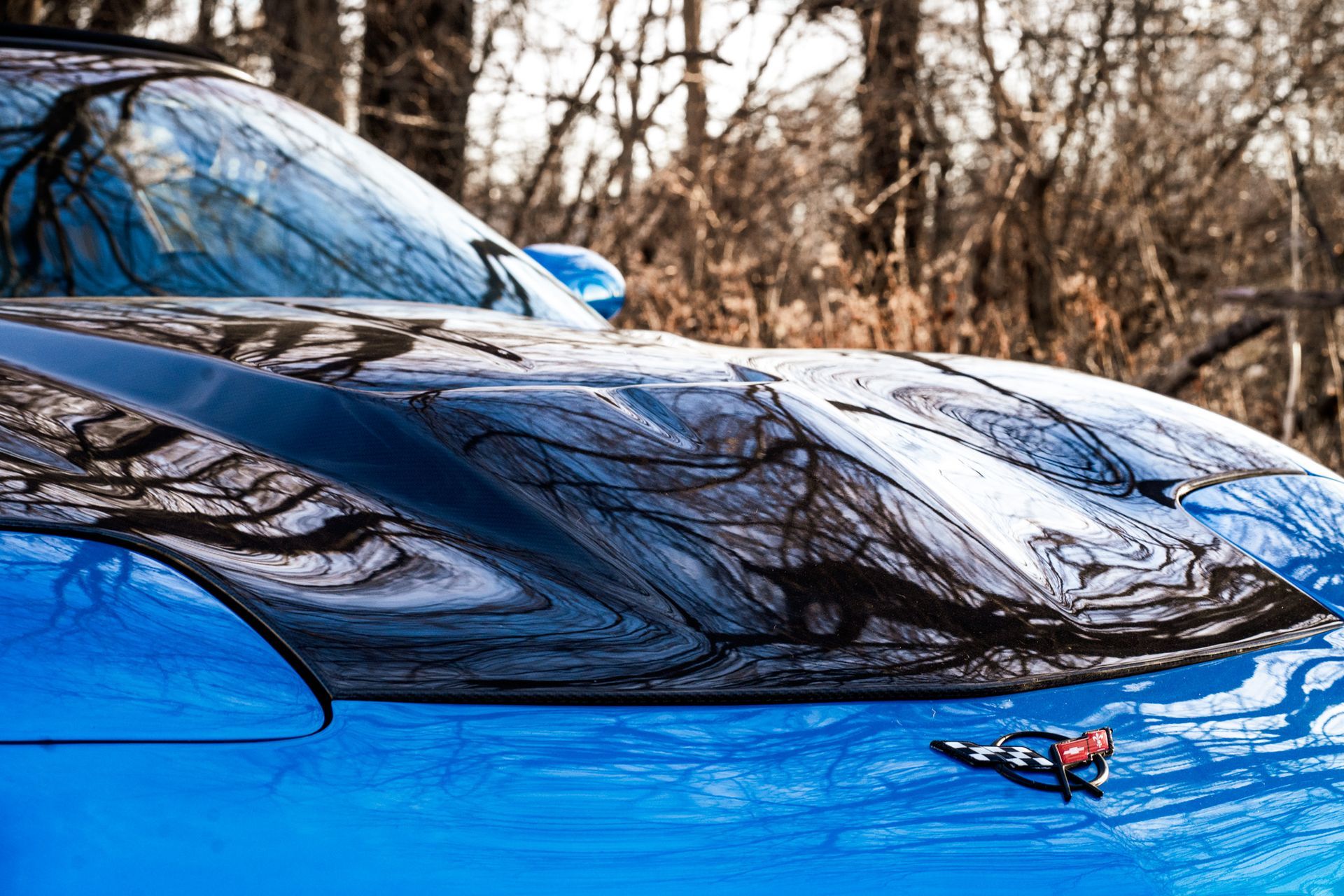 Auto Detailing Urbandale, IA Grizzly Clean