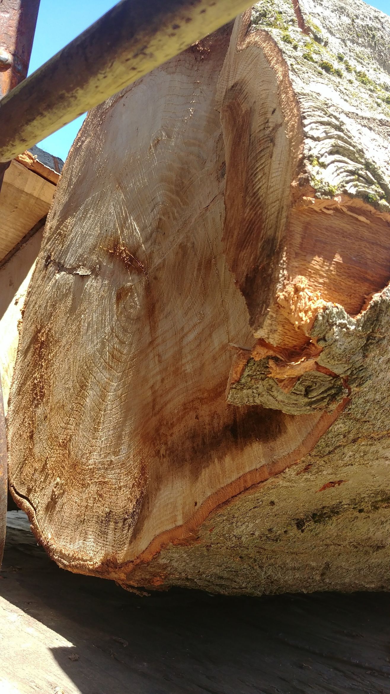 A Large Piece of Wood Is Sitting on Top of A Wooden Table – Lawrence Township, NJ – Carroll Tree Service