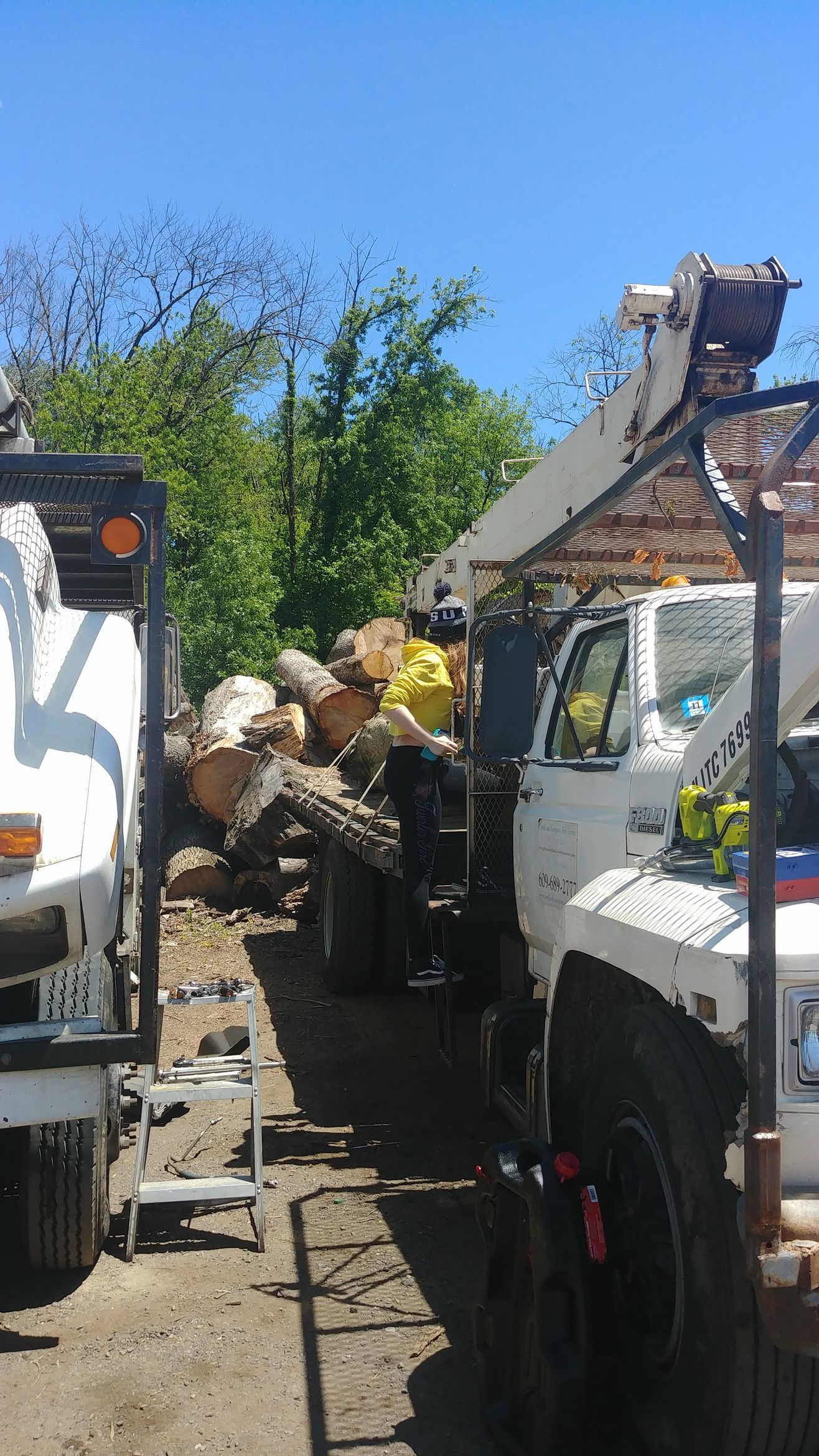 A Couple of Trucks Are Parked Next to Each Other in A Parking Lot – Lawrence Township, NJ – Carroll Tree Service