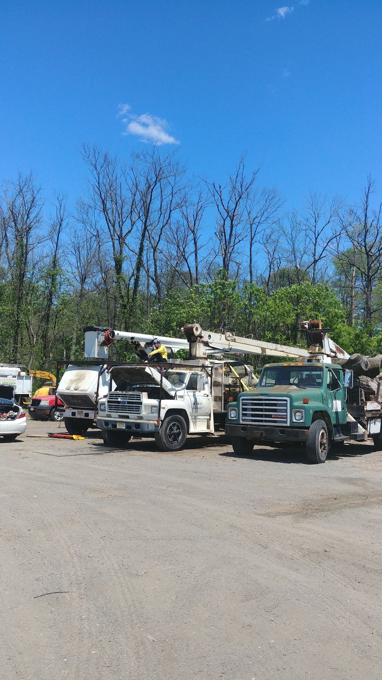 A Row of Trucks Are Parked in A Gravel Lot – Lawrence Township, NJ – Carroll Tree Service