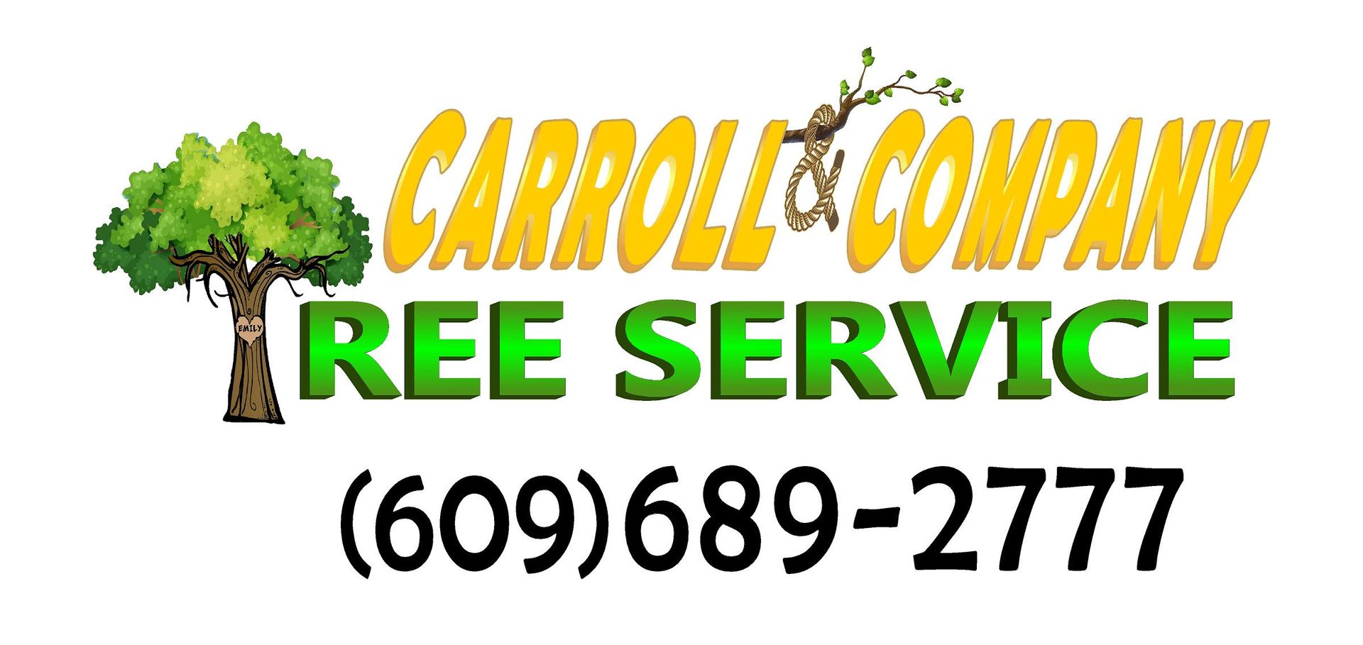 Carroll And Company Tree Service