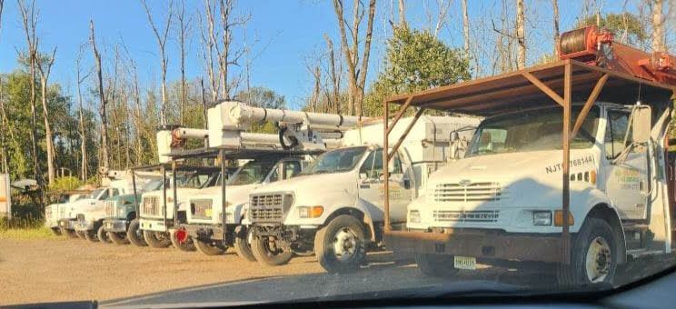 A Row of White Trucks Are Parked in A Parking Lot – Lawrence Township, NJ – Carroll Tree Service