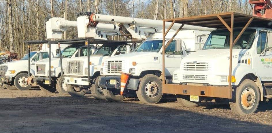 A Row of Utility Trucks Are Parked in A Parking Lot – Lawrence Township, NJ – Carroll Tree Service