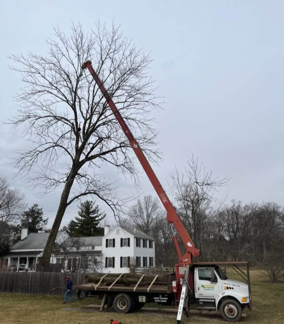 A Truck with A Crane Attached to It Is Cutting a Tree – Lawrence Township, NJ – Carroll Tree Service