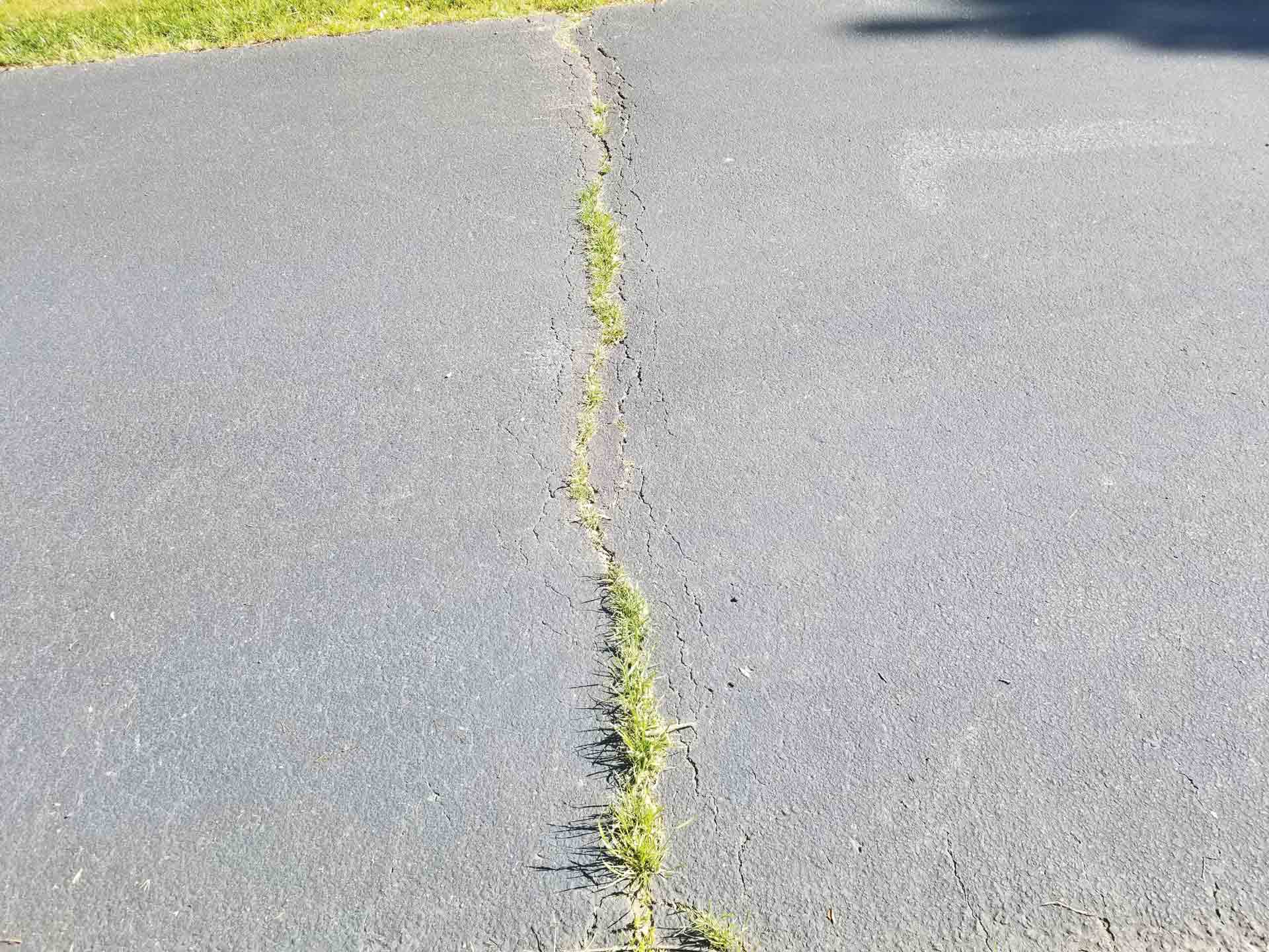 Before Gator Pave — Waynesboro, VA — Pearce Seal Coating