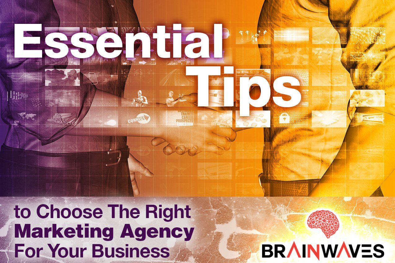 Essential tips to choose the right marketing agency for your business