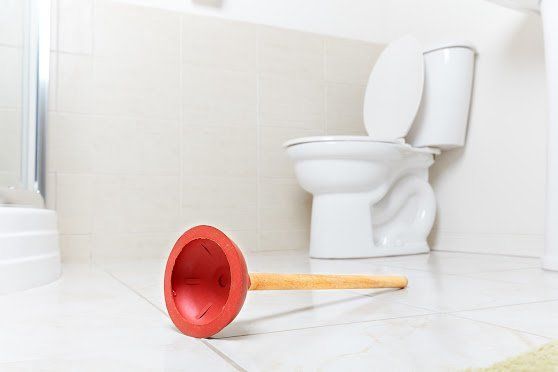 A toilet and a plunger are in a bathroom.