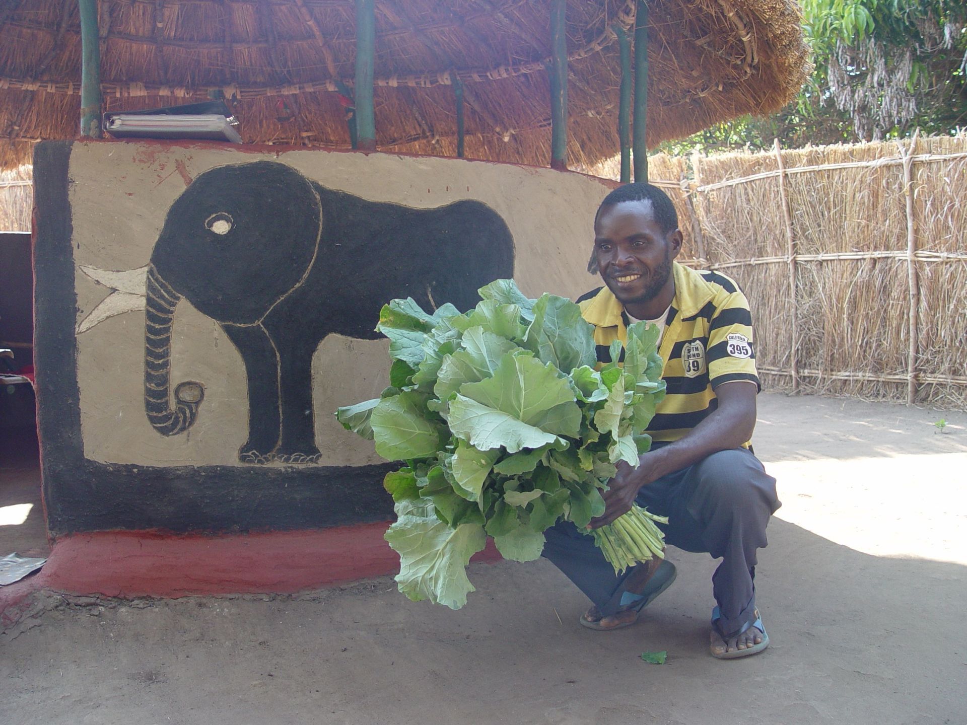 Chitungulu Organic Vegetable Gardening