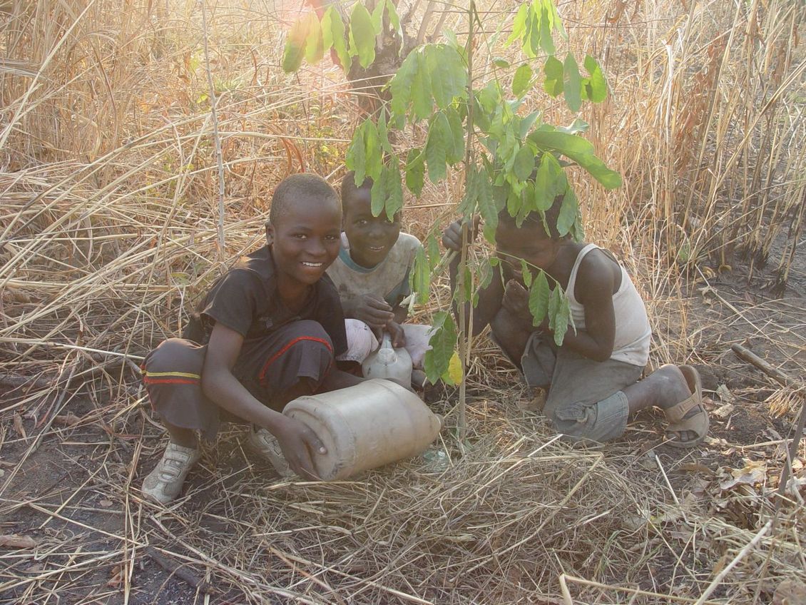 Chitungulu Tree Planting 01
