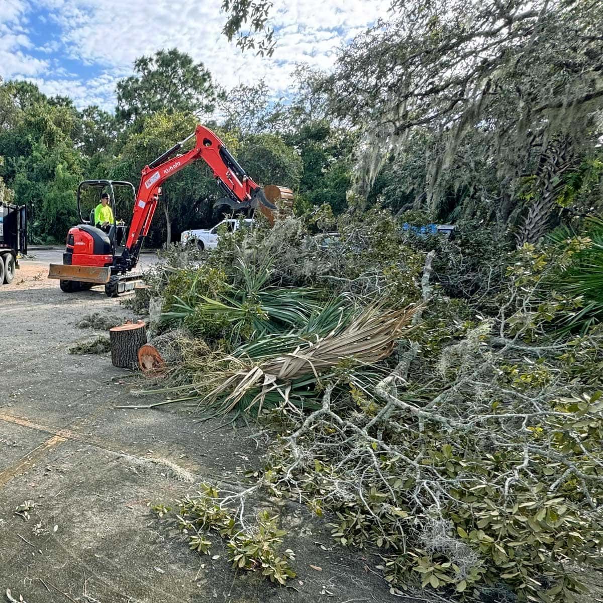 A red excavator is cutting down a tree in a parking lot.