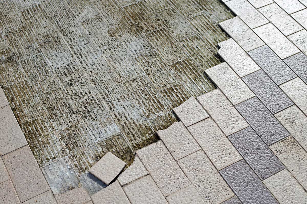 Paving stones being removed, revealing rough concrete beneath.