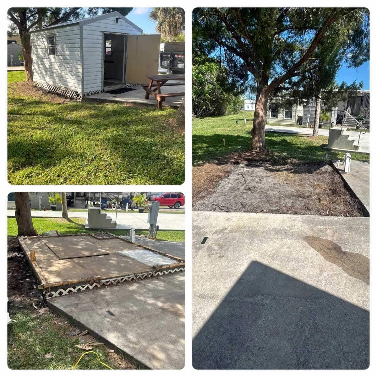 A collage of pictures shows a shed and a tree in a park
