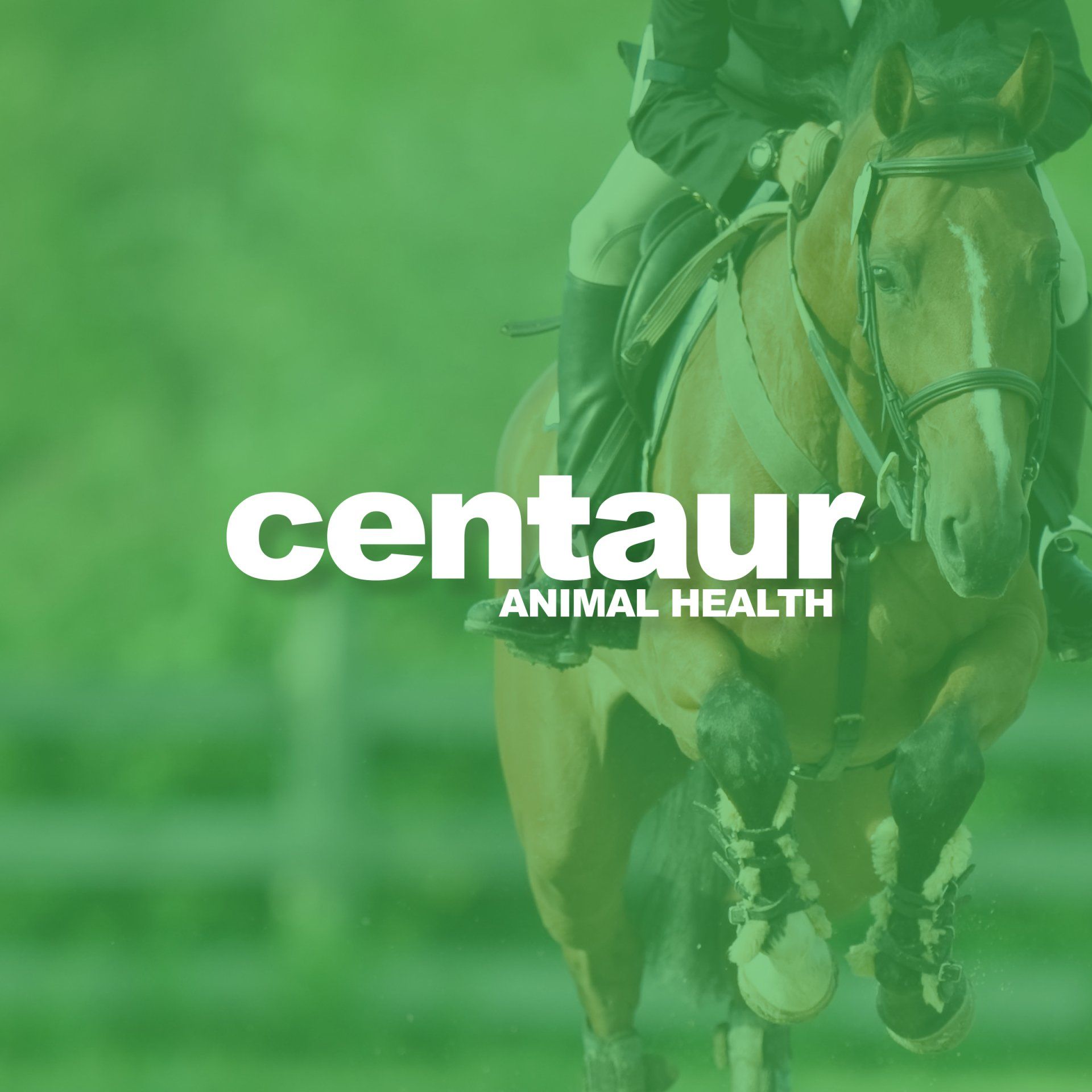 Pharmaceutical Packaging Design - - Branding & Marketing - Graphic Design by Active Reason Design