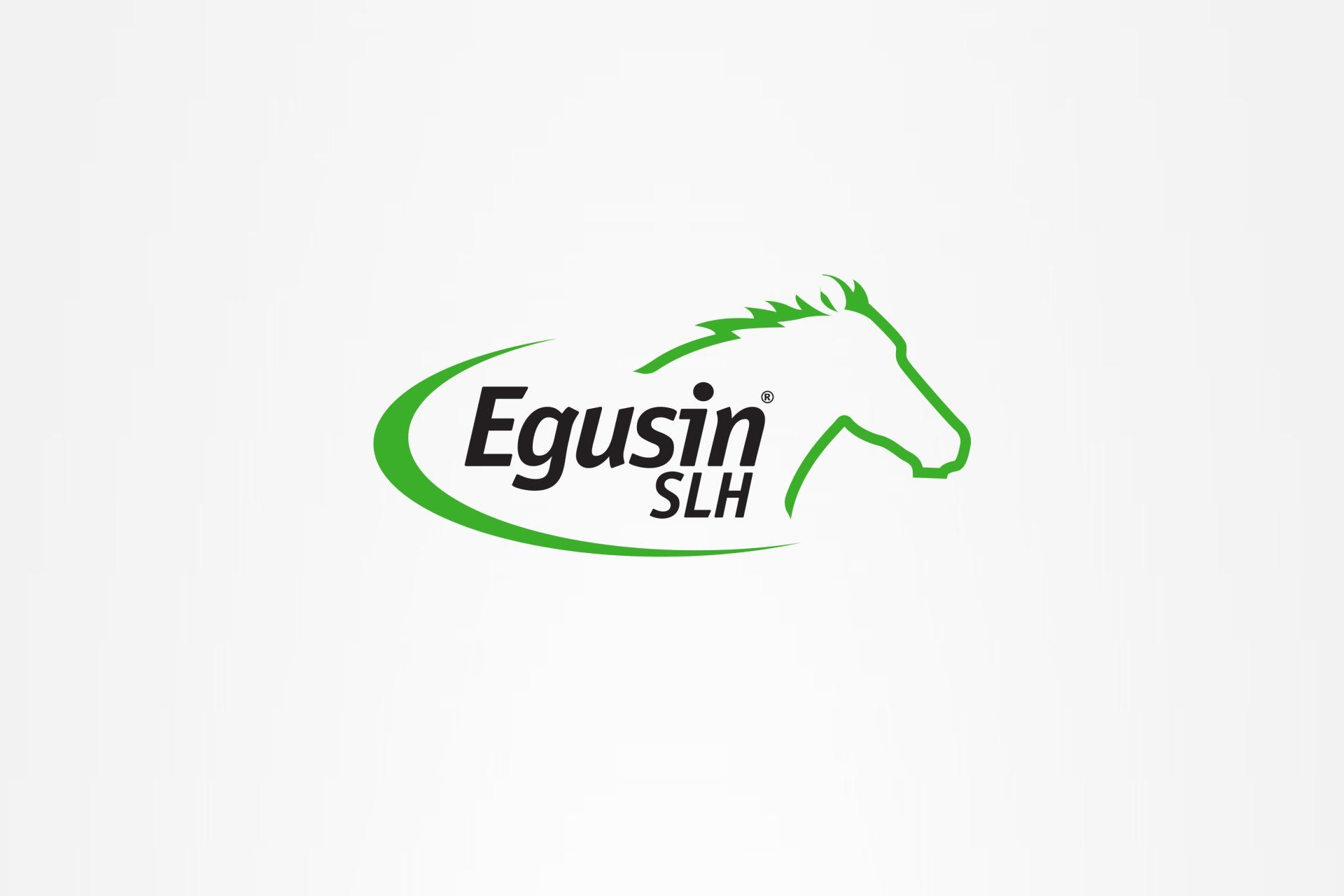 Equine pharmaceutical logo design