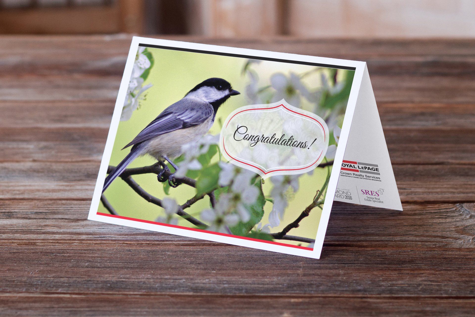 Note card design by graphic designer Ben Haskins of Active Reason Design.