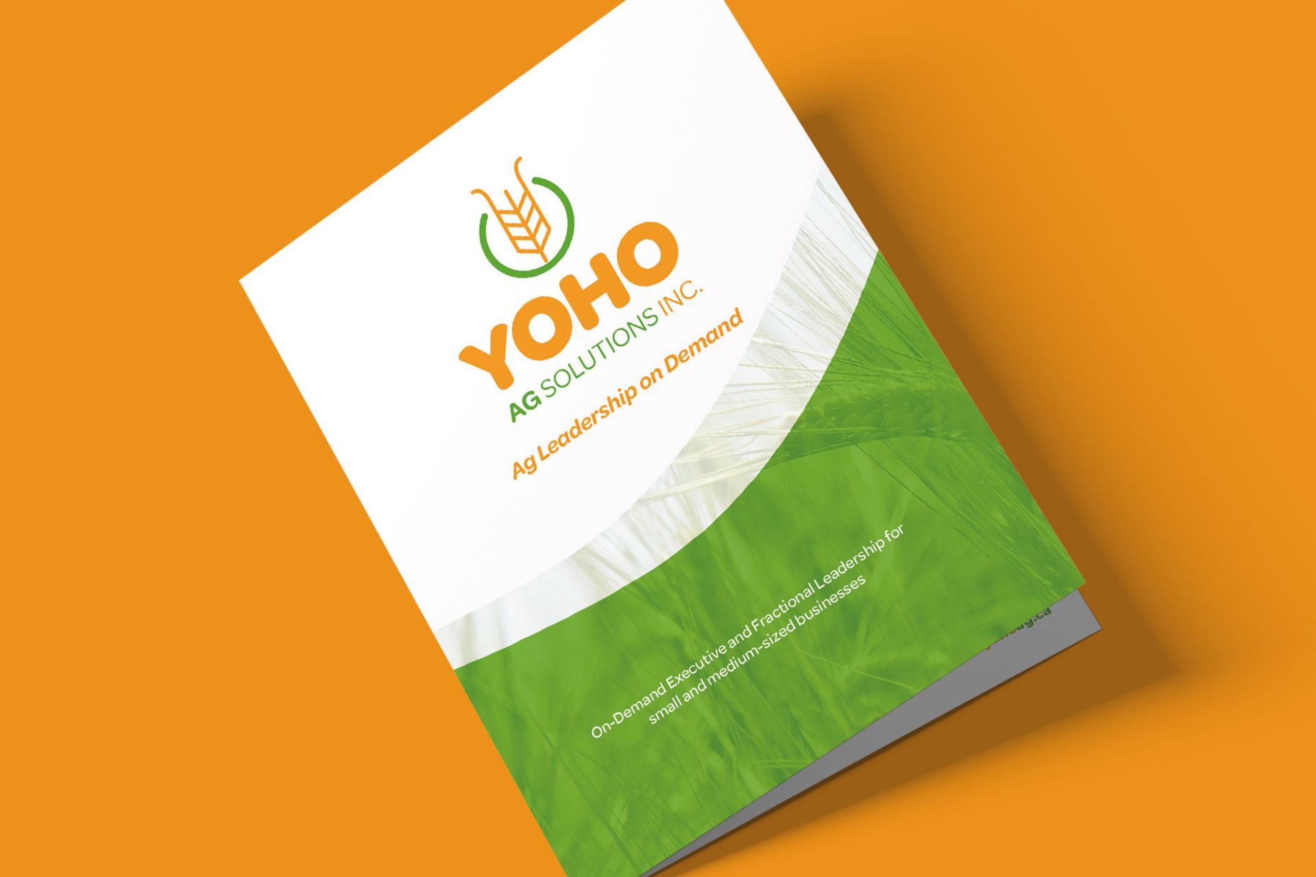 Yoho Ag Solutions brochure design
