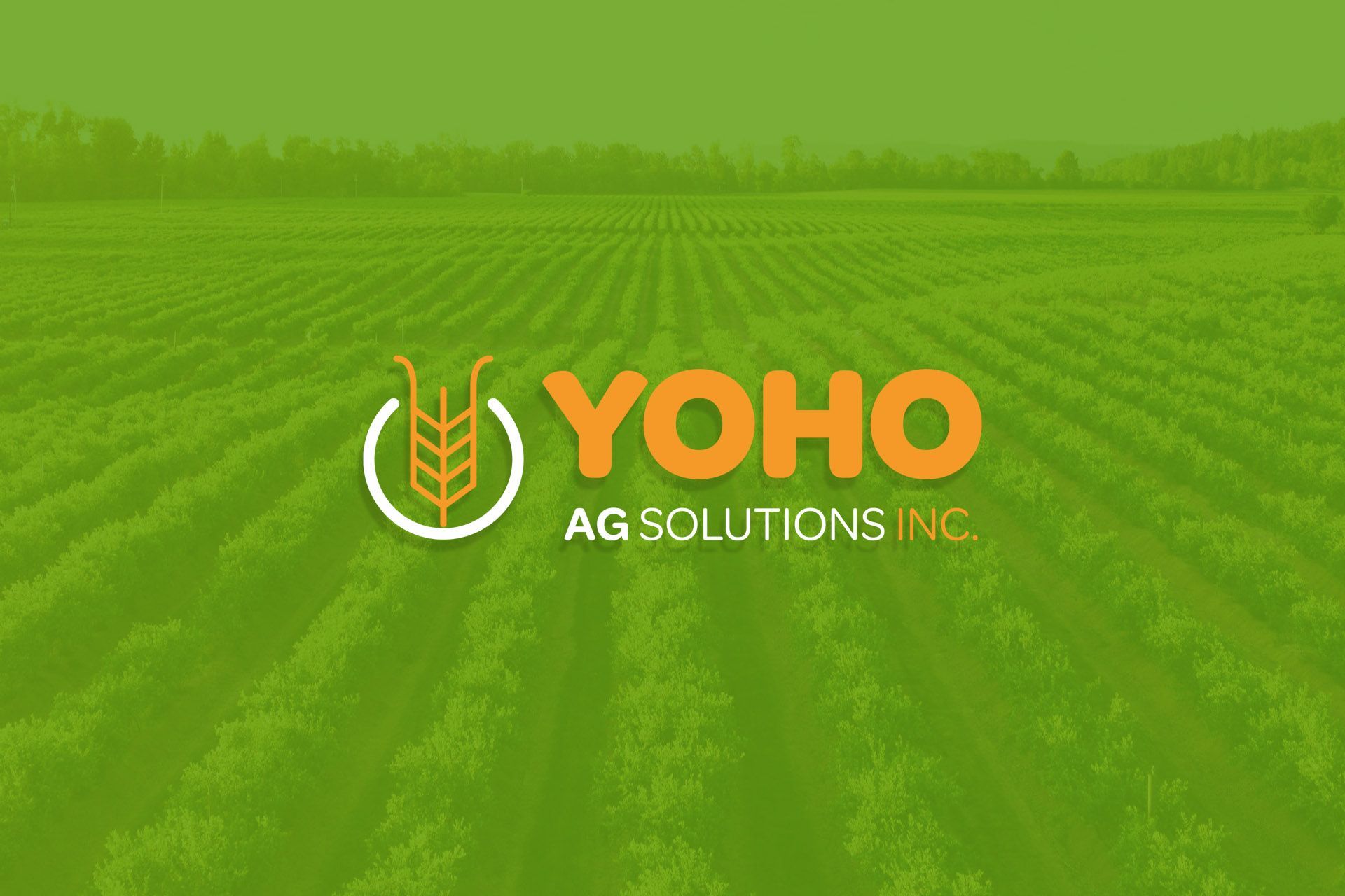 Yoho Ag Solutions logo design and branding
