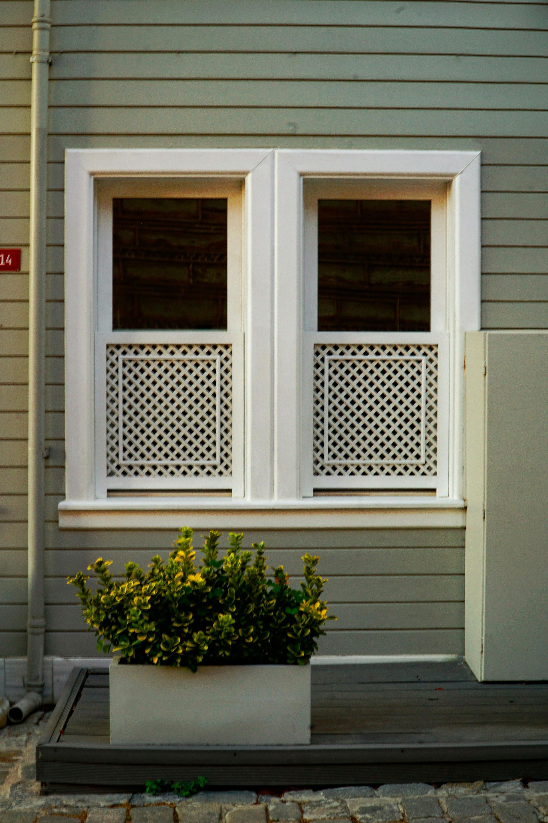 White-framed windows with lattice, on a green-painted wooden building. A plant sits below the windows.