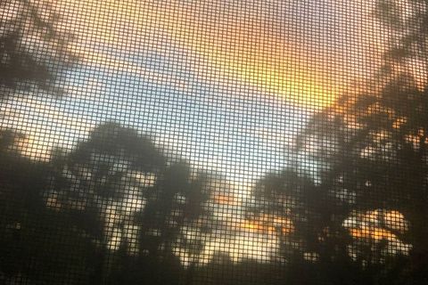 Sunset Through a Screen Window — Goodlettsville, TN — Asberry Windows & Glass