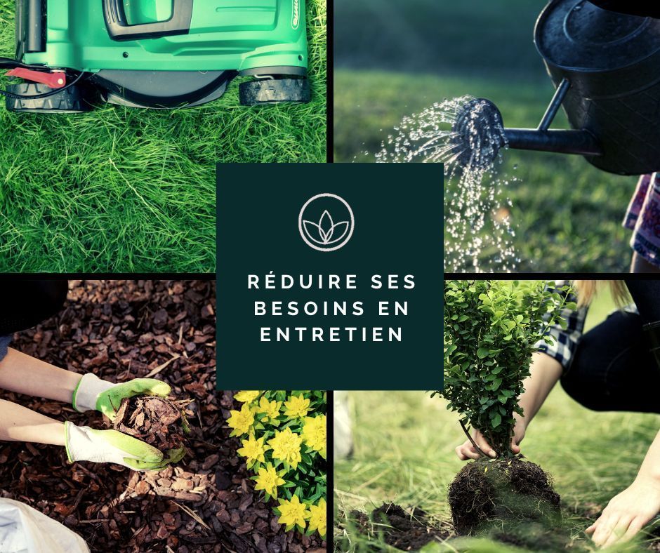 Un collage de quatre photos de personnes jardinant en français