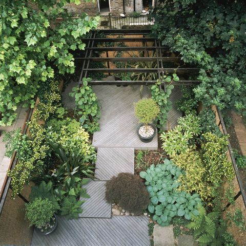 Une vue aérienne d'un jardin avec beaucoup de plantes