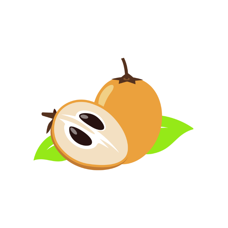 A cartoon illustration of a fruit with a leaf on a white background.