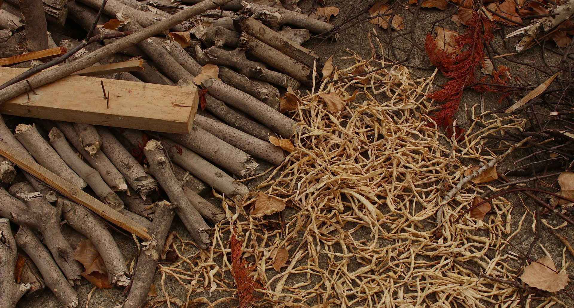 pile of sticks and leaves 
