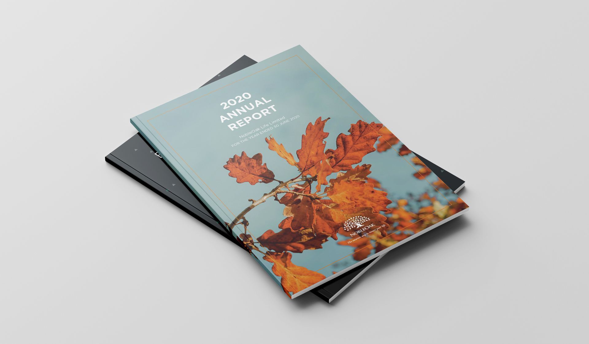 Double spread of a prospectus design created by The End Creative Agency, a graphic design agency based in Sydney