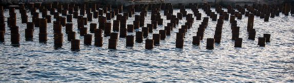 Piers, pilings, bulkheads