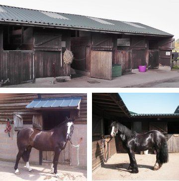 Outdoor stables - Bedworth - Nigel Barratt