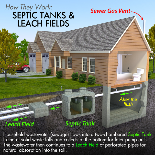 how a septic tank works graphic