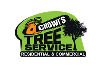 A logo for chow 's tree service residential and commercial