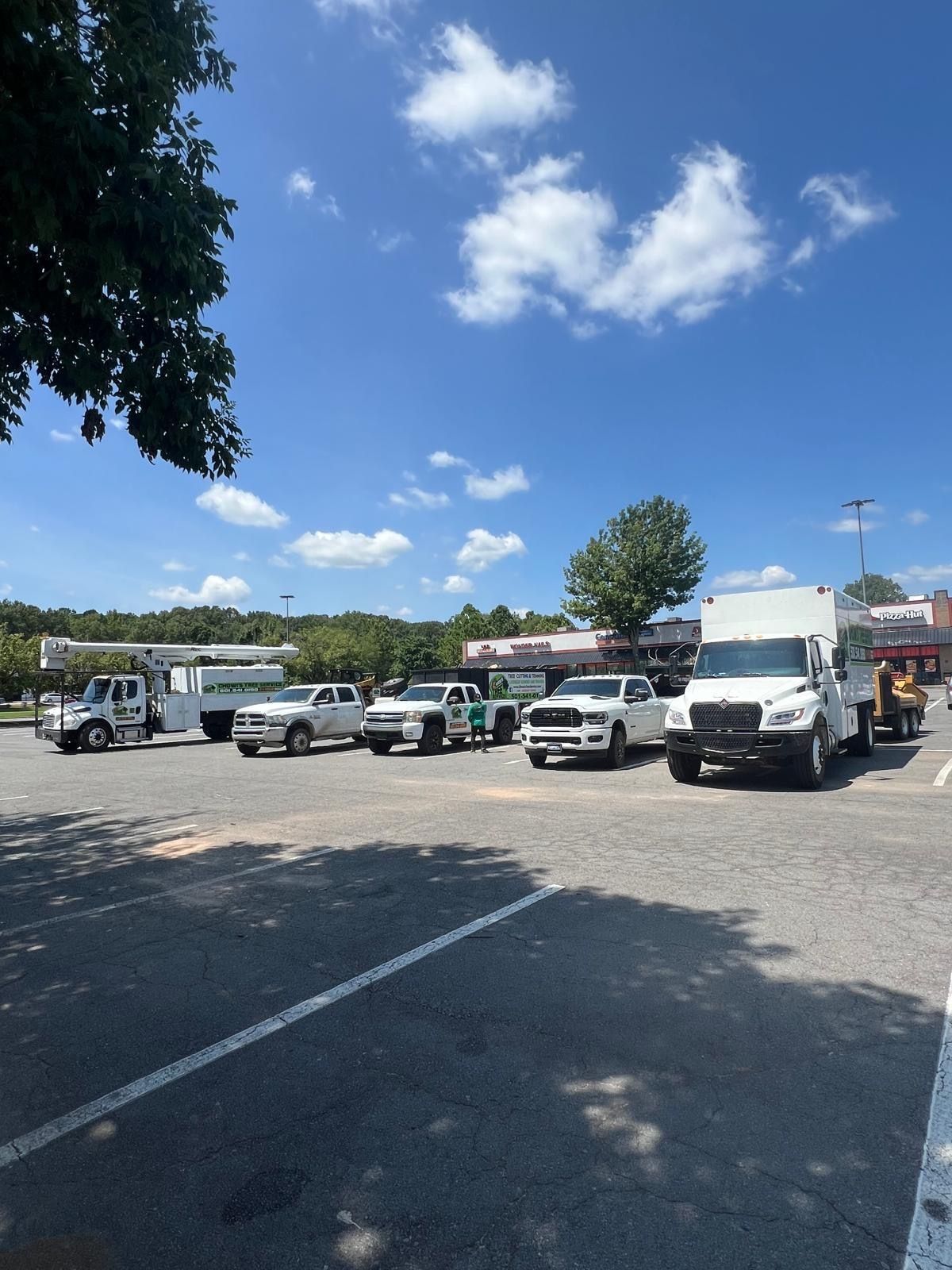 A row of trucks are parked in a parking lot