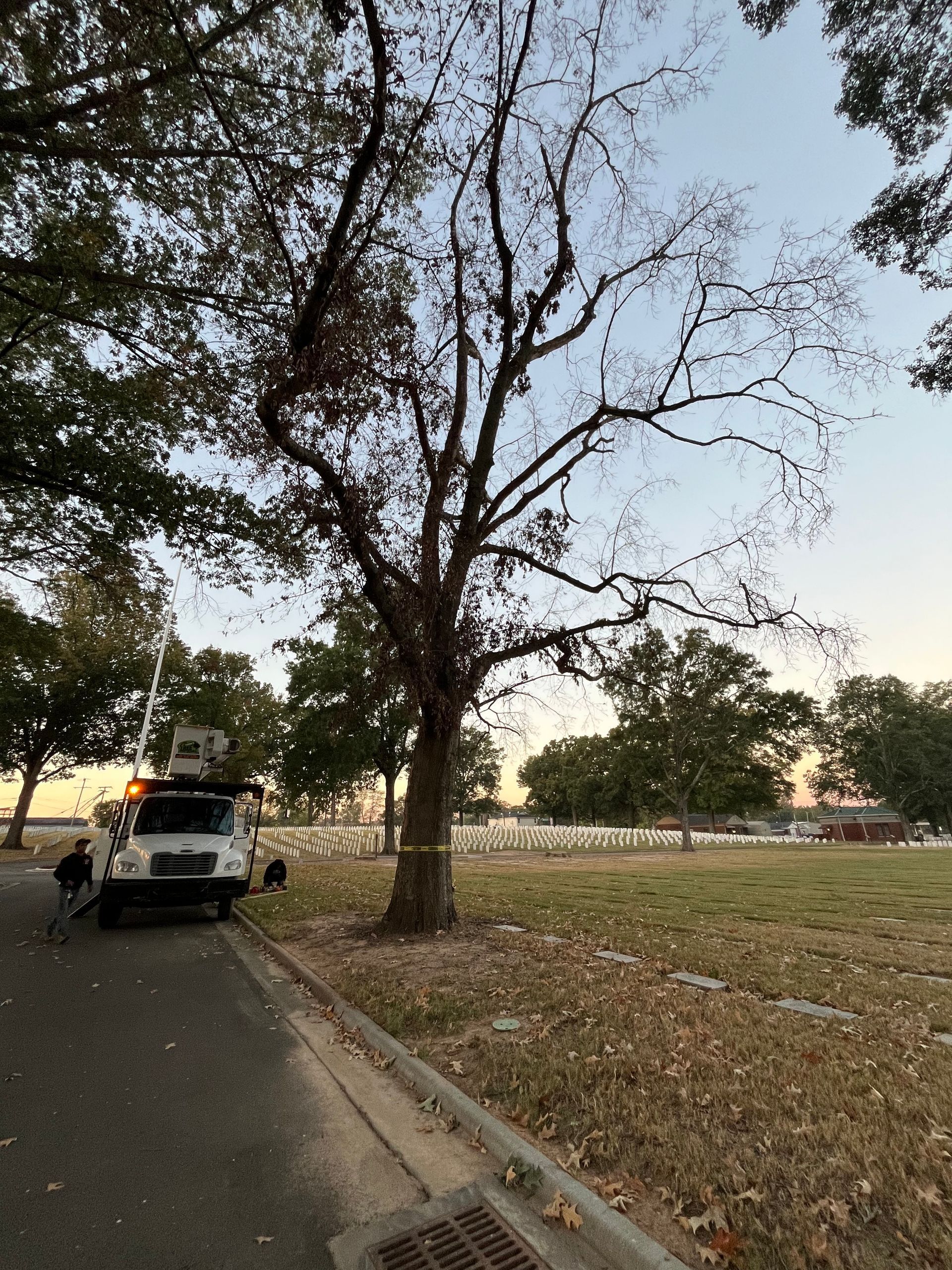 A car is parked on the side of the road next to a tree.